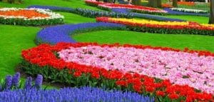 spring season in Arabic 
