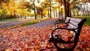 fall season in Arabic 